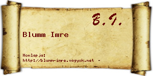 Blumm Imre névjegykártya