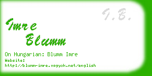 imre blumm business card